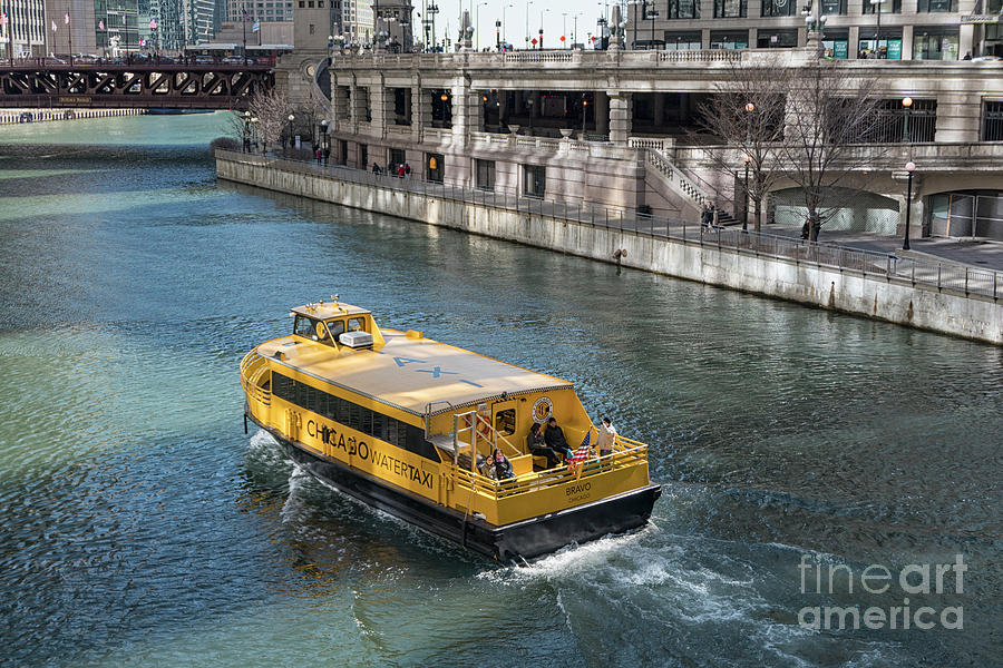 Watertaxi on Chicago river Photograph by Patricia Hofmeester