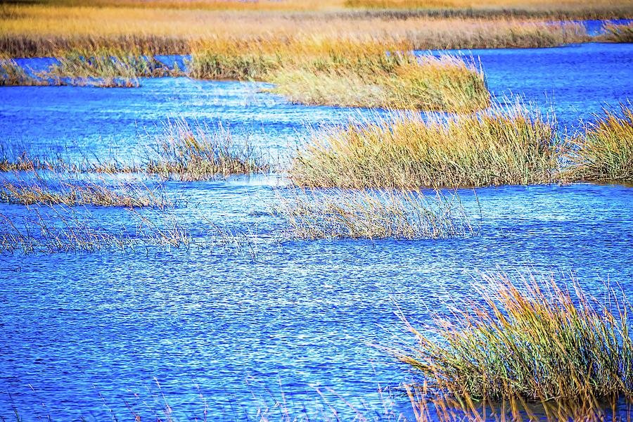 Waterway And Marsh Views On Johns Island South Carolina Photograph by Alex Grichenko