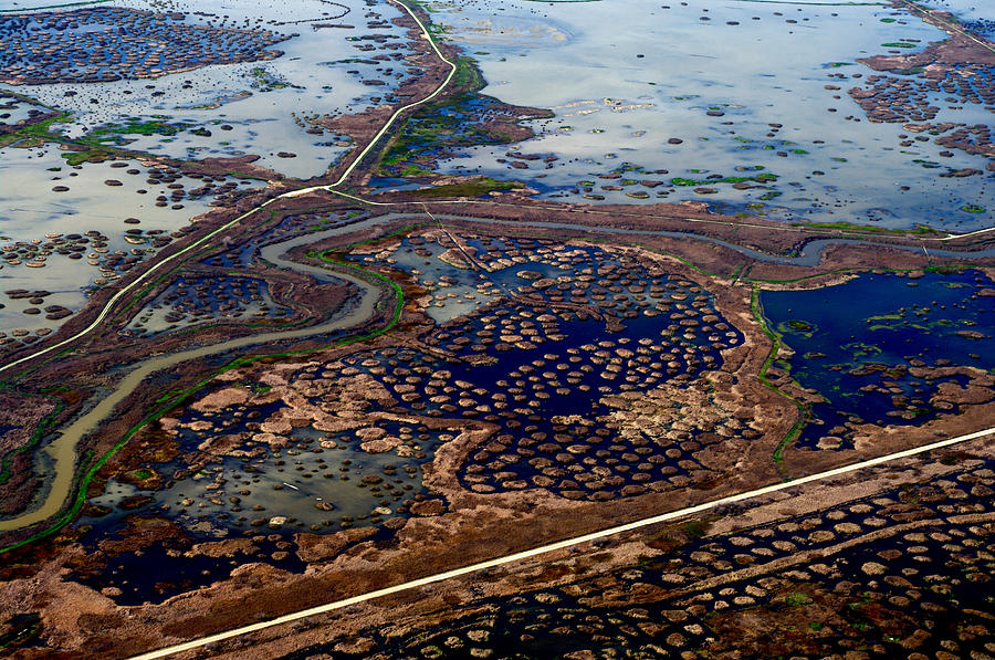 Landscape Photograph - Waterways 8 by Sylvan Adams Landscape Photograph - Waterways 8 by Sylvan Adams