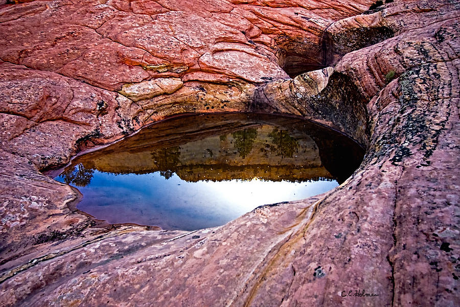 Watery Portal Photograph by Christopher Holmes