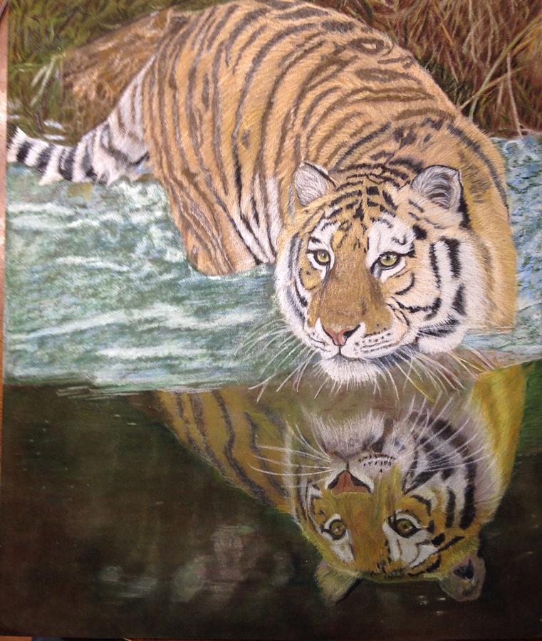 Tiger Drawing - Watery Reflection by Lori Hanks