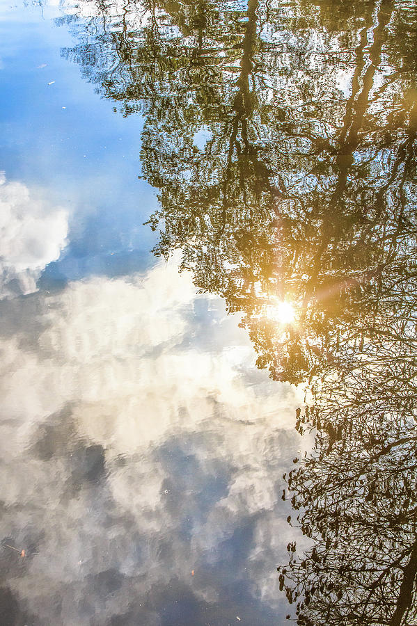 Watery Reflections Photograph by Joni Eskridge