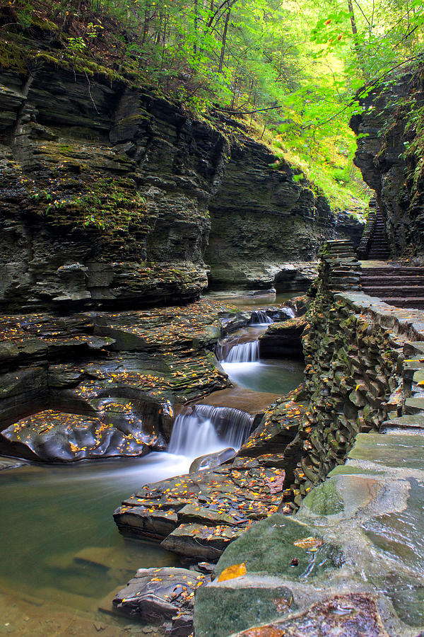 Watkins Glen Photograph by Nunweiler Photography