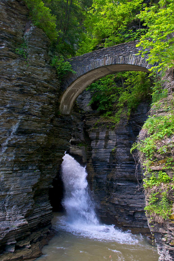 Summer Photograph - Watkins Glen by Mike Horvath