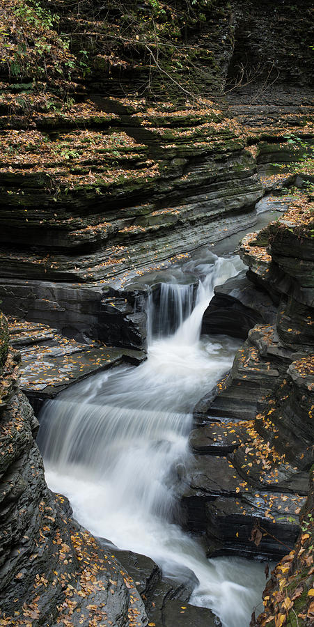 Waterfall Photograph - Watkins Glen Rapids by Joshua House