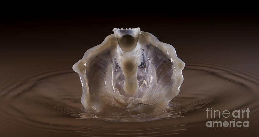 Water Drop Photography The Ghost King Photograph by Art Whitton