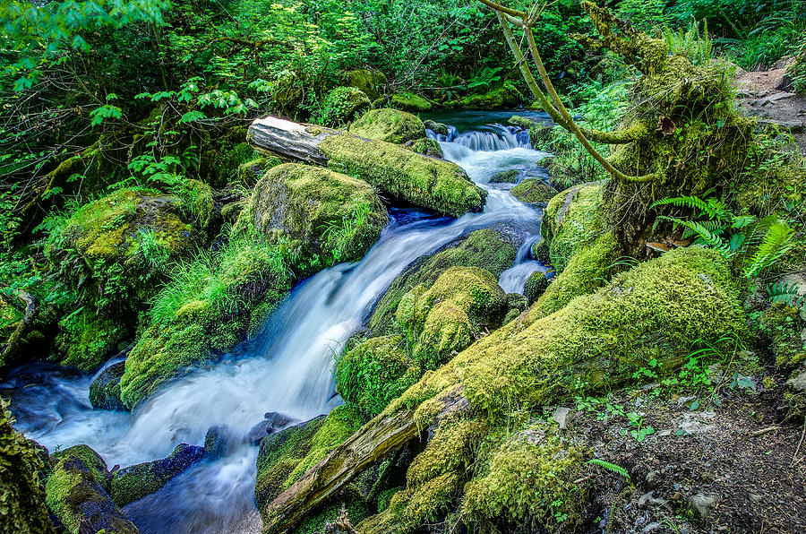 Watson Creek Falls Oregon Photograph by Scott McGuire