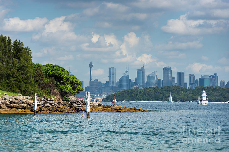 Watsons Bay Photograph by Andrew Michael