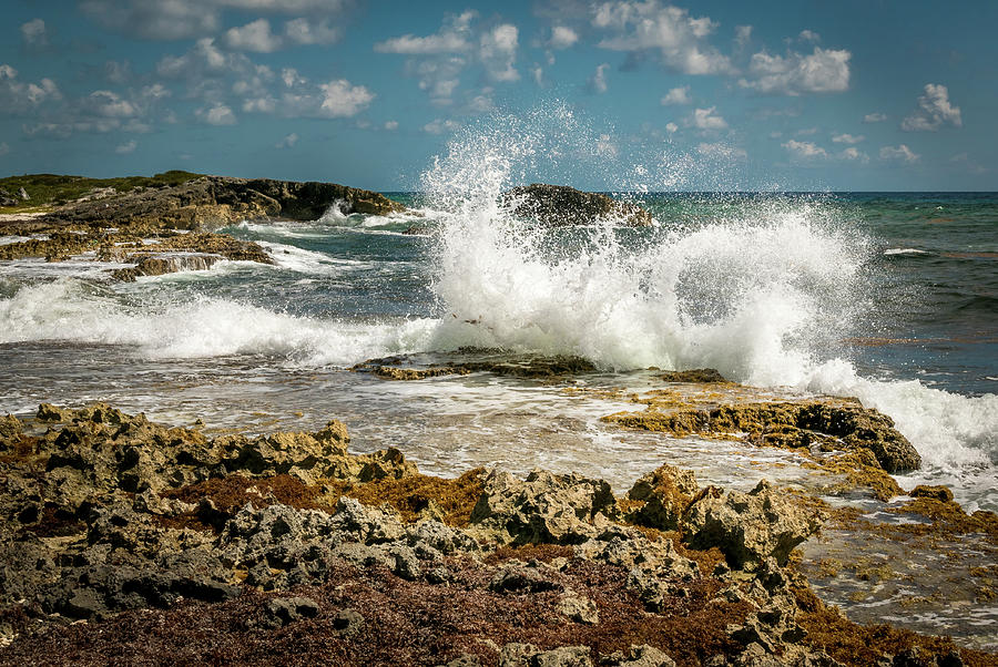 wave break wave break