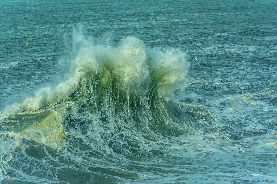 Wave Crown Photograph by Bill Posner