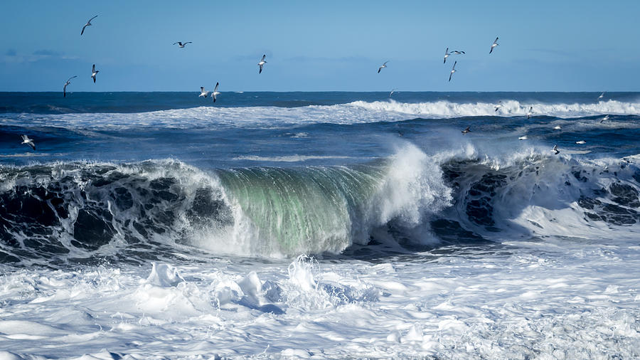 Nature Photograph - Wave by Jeffrey Schwartz