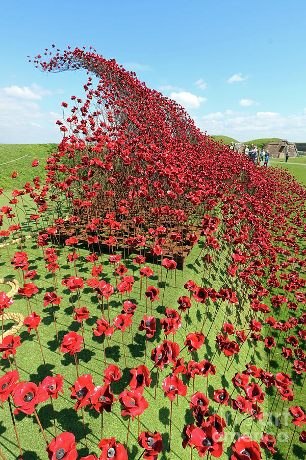 Wave of Poppies at Fort Nelson UK Photograph by Julia Gavin