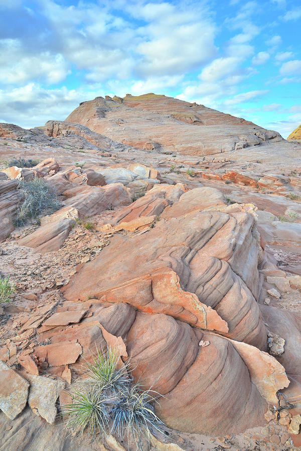 Wave of Sandstone in Valley of Fire Photograph by Ray Mathis