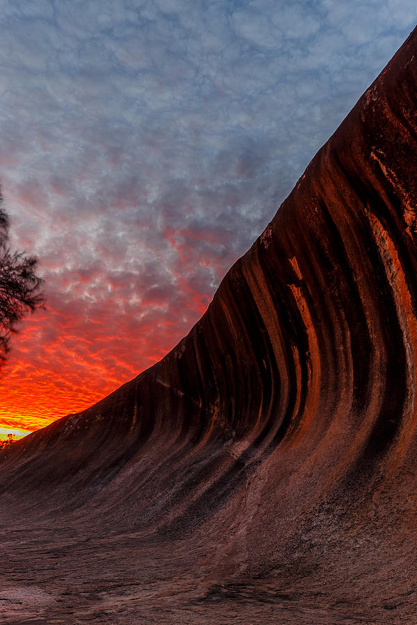 Wave Rock Photograph by Robert Caddy