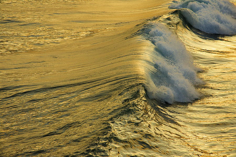Wave Rolling Gold Photograph by Viktor Savchenko