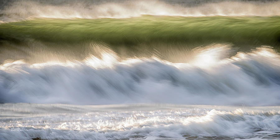 Wave Sculpture Photograph by Bill Roberts