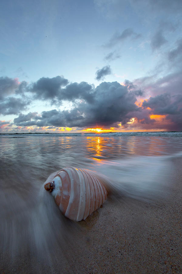Beach Photograph - Wave Shell Sunrise by Sean Davey