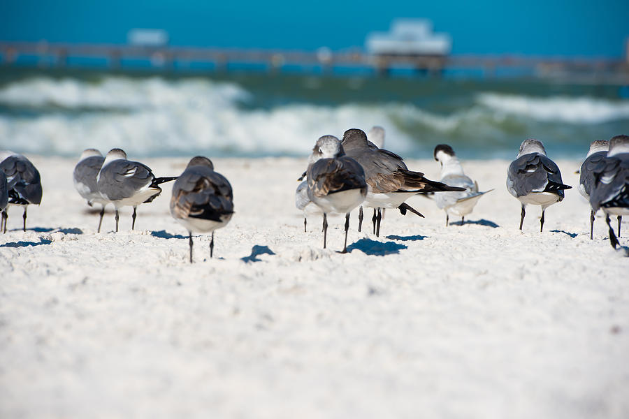 Wave Watchers Photograph by Jeff Partridge - Fine Art America