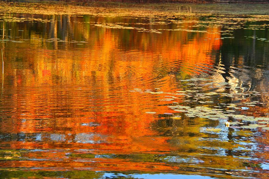 Waved Fall Wavefall Photograph by Alan Buck - Fine Art America