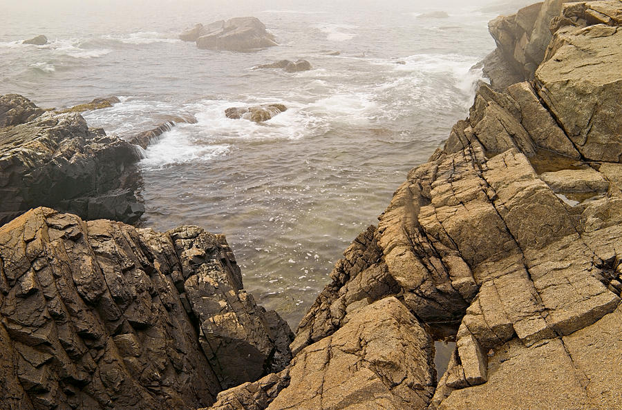 Waves and Fog at Otter Cliffs Photo Photograph by Peter J Sucy