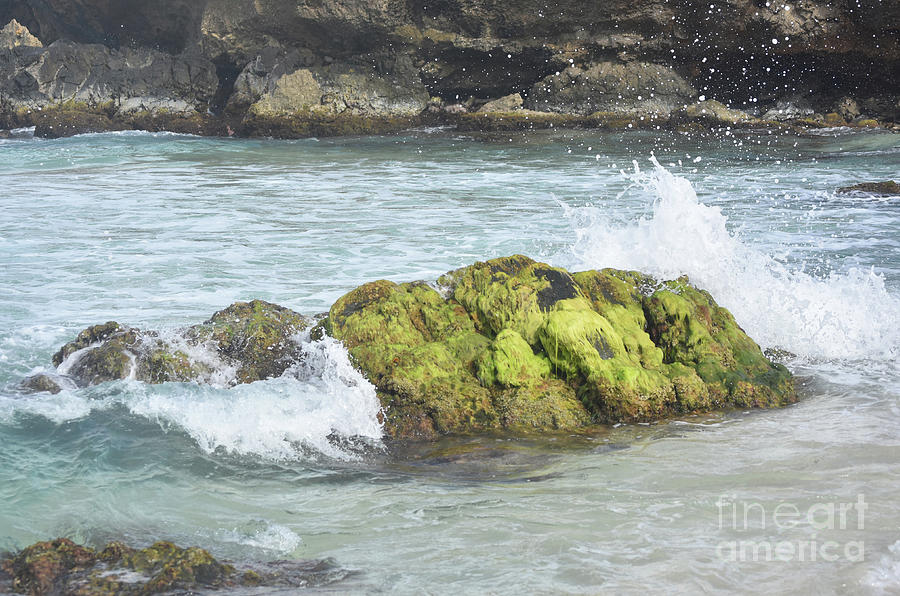 Beach Photograph - Waves Crashing on a Moss Covered Rock on Boca Keto by DejaVu Designs