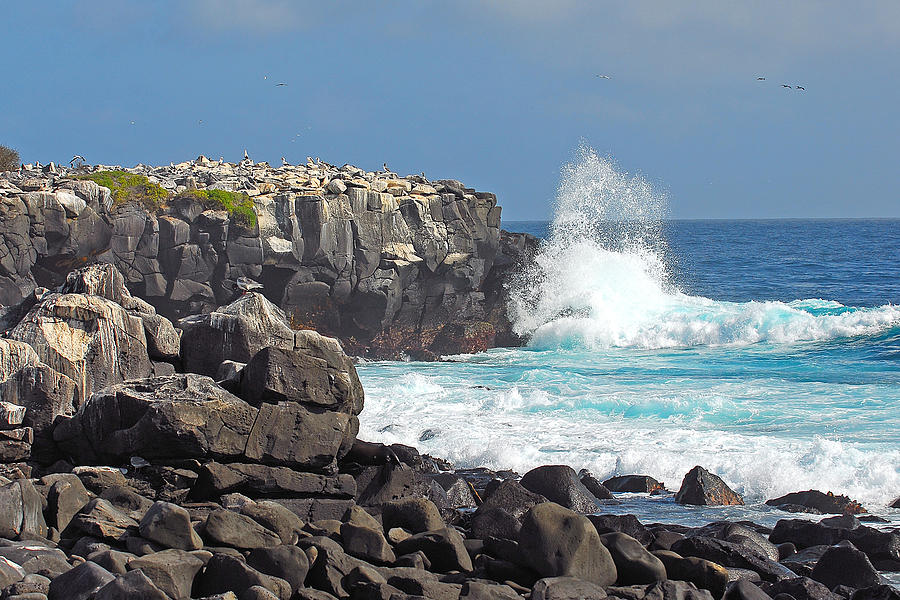 Waves Photograph - Waves Crashing on Isla Espanola by Alan Lenk