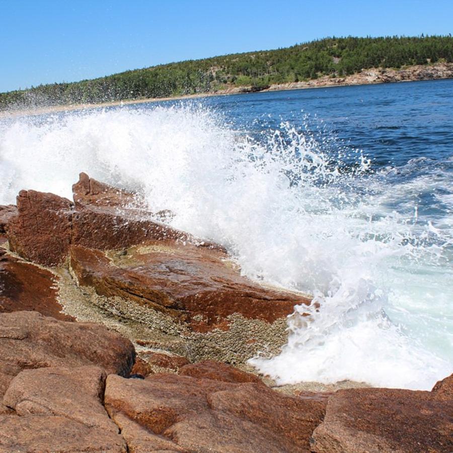 Acadia Photograph - Waves Crashing On The Rocks Always Make by Jake Cockerill