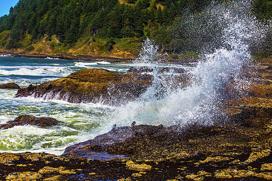 Beach Photograph - Waves Crashing Oregon Coast by Garry Gay