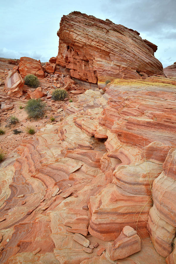 Waves of Colorful Sandstone in Valley of Fire Photograph by Ray Mathis