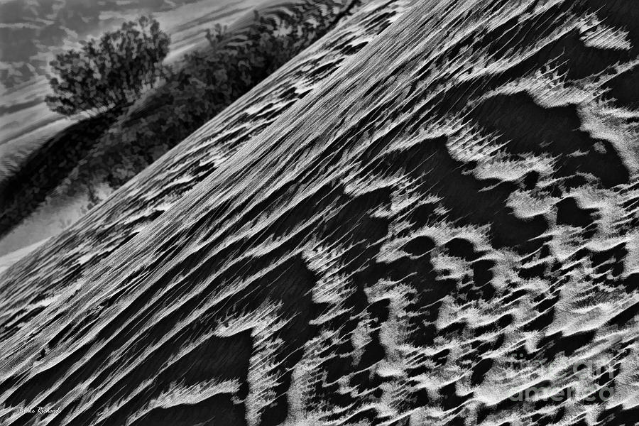 Waves Of Desert Sand Photograph by Blake Richards