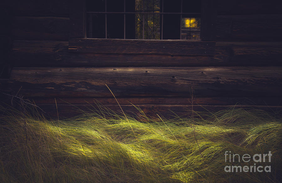 Waves of Grass Photograph by The Forests Edge Photography - Diane Sandoval