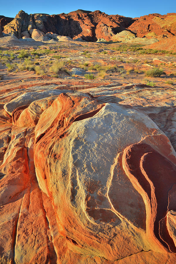 Waves of Sandstone at Sunrise in Valley of Fire Photograph by Ray Mathis