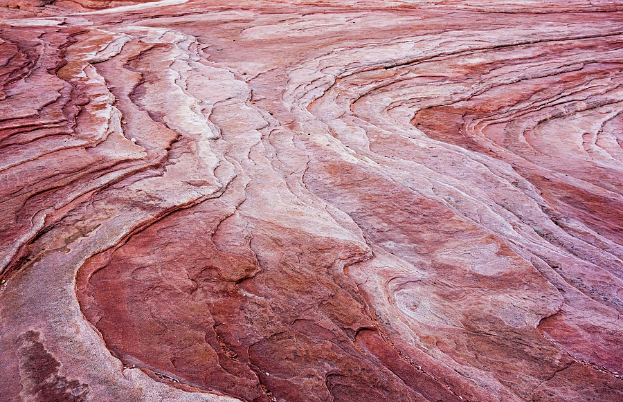 Waves of Sandstone Photograph by Loree Johnson