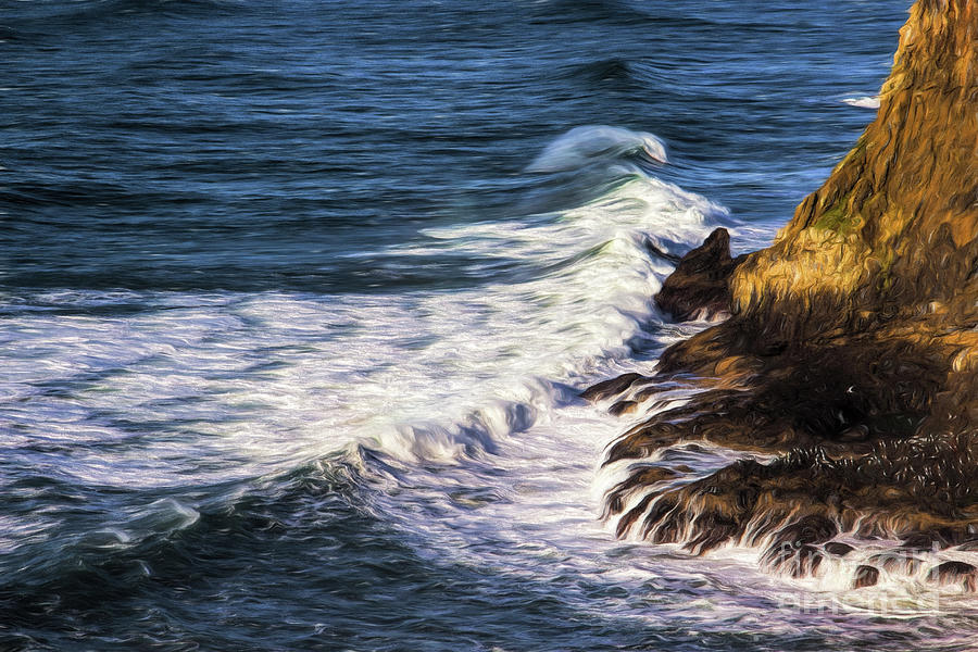 Waves Rocks and Birds Photograph by Jon Burch Photography