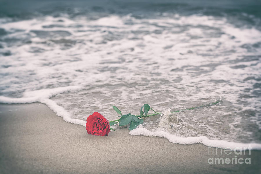 Waves washing away a red rose from the beach. Vintage. Love Photograph by Michal Bednarek