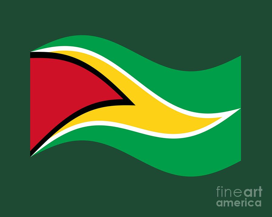 Waving Guyana Flag Digital Art by Frederick Holiday