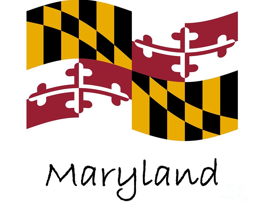 Flag of Maryland Flag of Maryland Classic T-Shirt | Redbubble