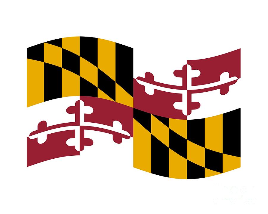 Waving Maryland Flag Digital Art by Frederick Holiday - Pixels