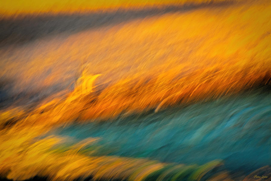 Waving Prairie Grasses Photograph by Anna Louise