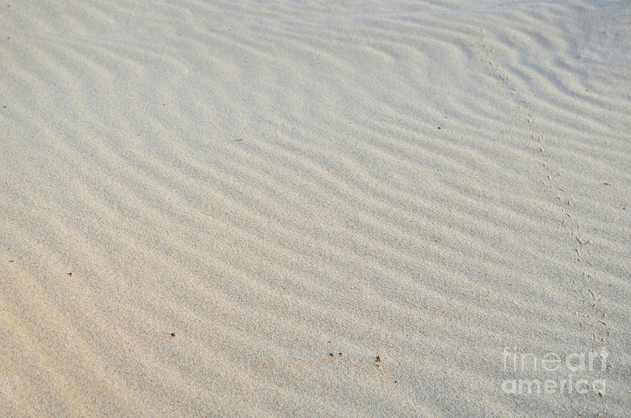 Waving Ripples in the White Sand Beach in Aruba Photograph by DejaVu Designs