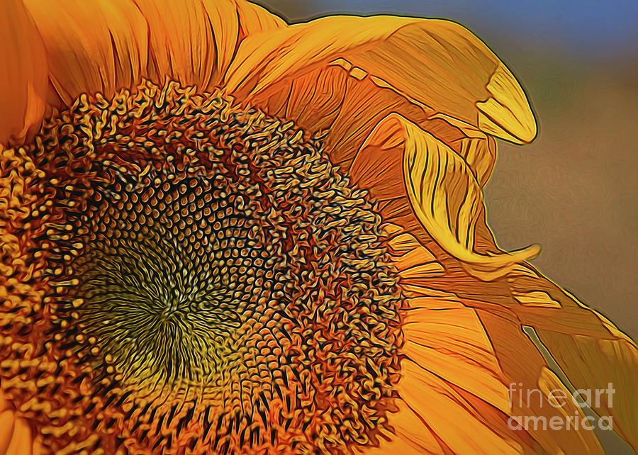 Waving Sun Petals Painting by Janice Pariza