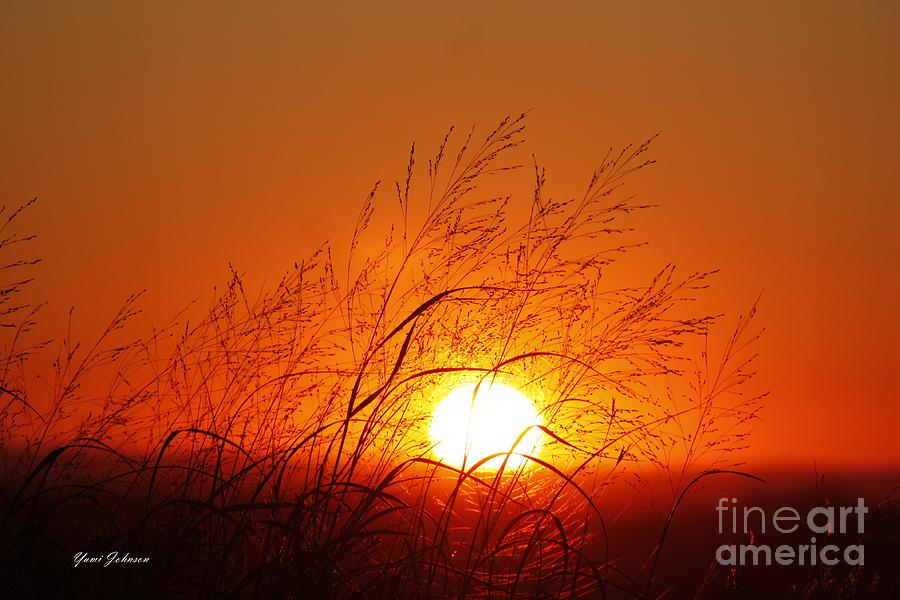 Waving Sun Photograph by Yumi Johnson