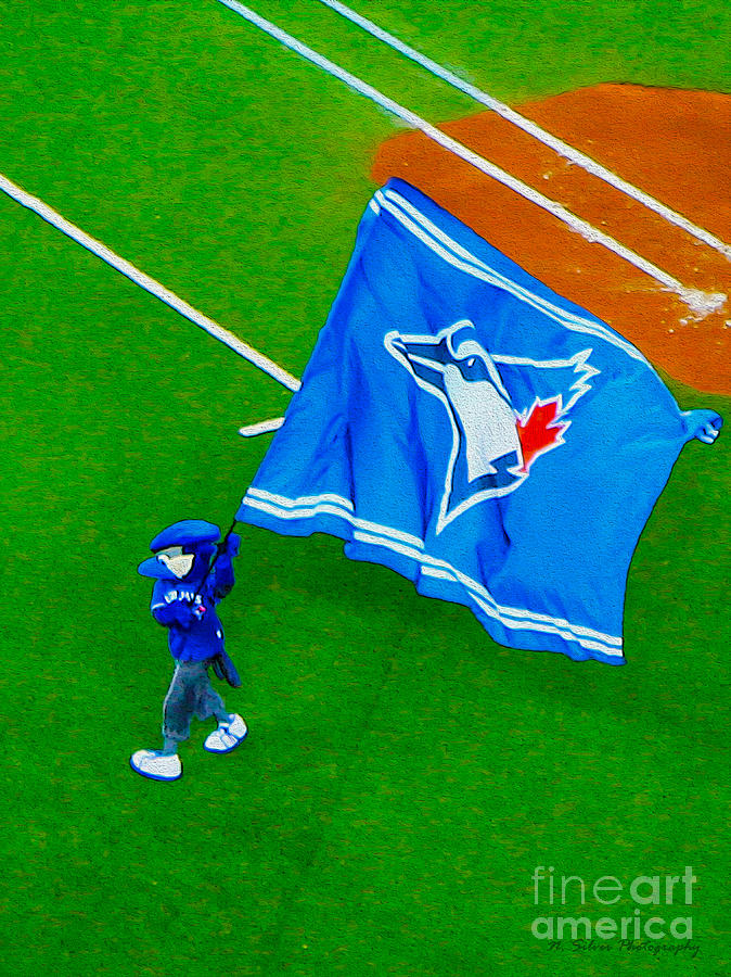 Waving the Flag for The Home Team      The Toronto Blue Jays Photograph by Nina Silver