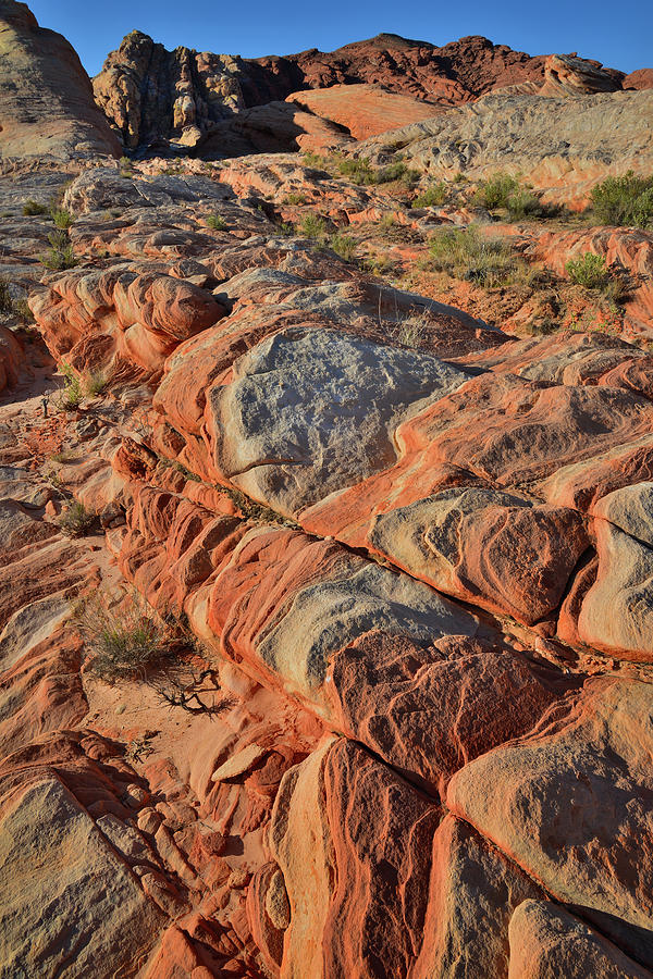 Wavy Sandstone at Sunrise in Valley of Fire Photograph by Ray Mathis