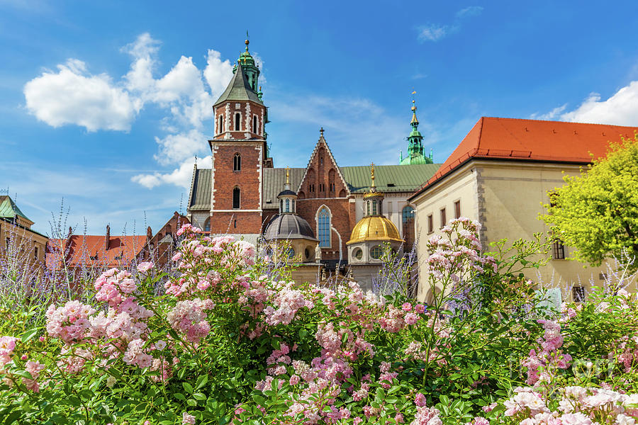 Wawel Cathedral, Cracow, Poland. View from courtyard with flowers. Photograph by Michal Bednarek