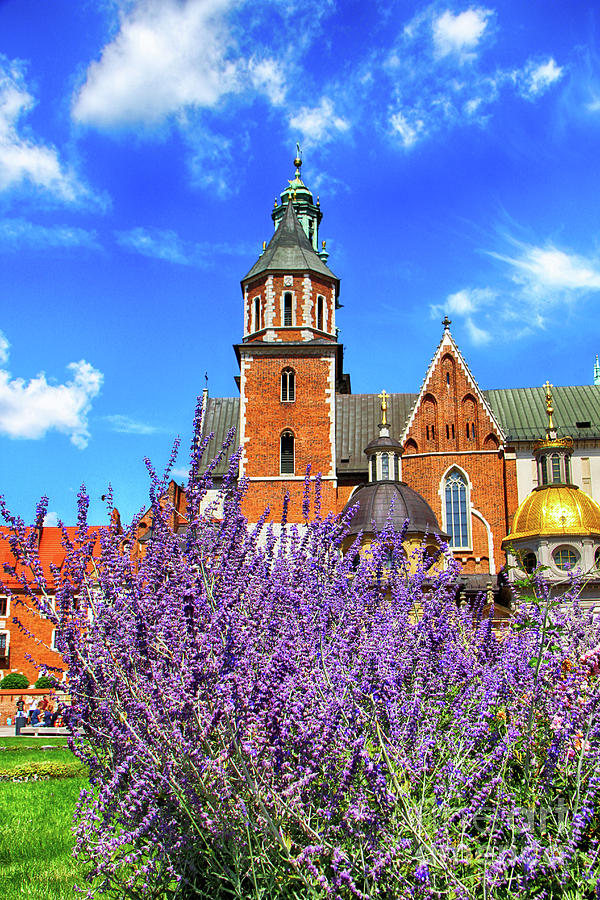 Wawel Cathedral Photograph by Mariola Bitner