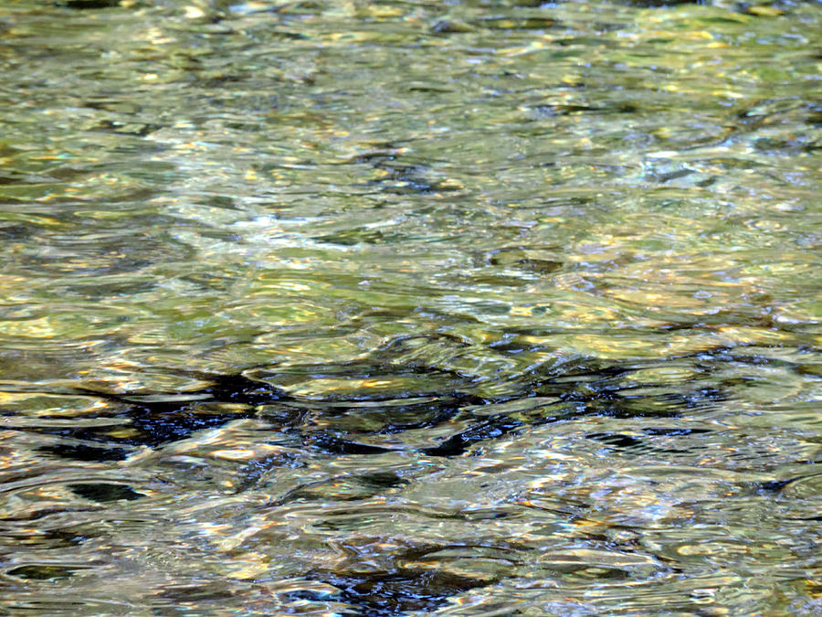 Wawona Ripples 2 Photograph by Eric Forster