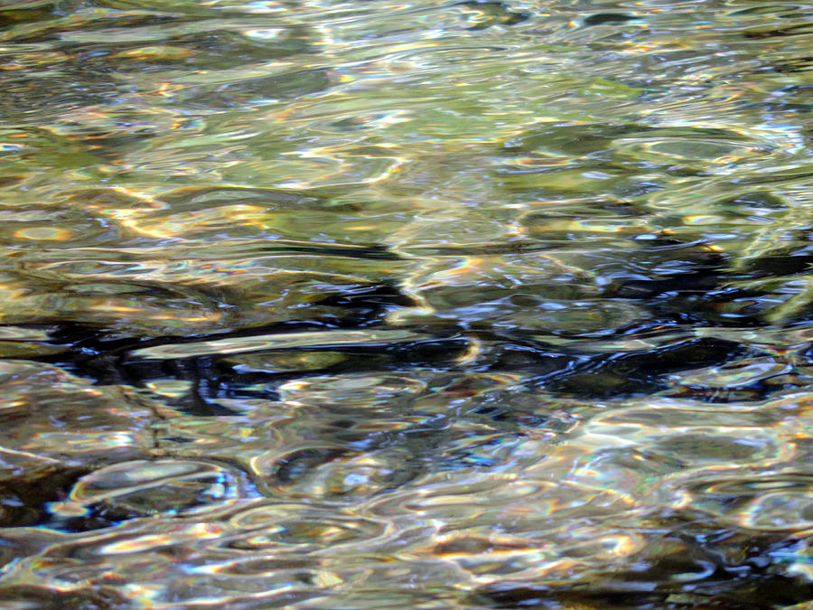 Wawona Ripples 3 Photograph by Eric Forster