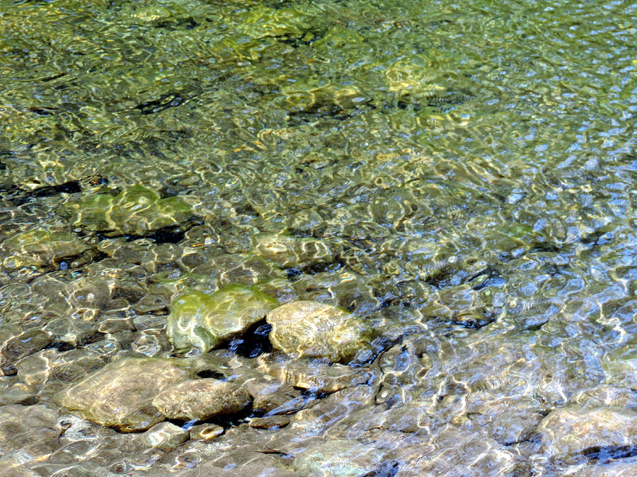 Wawona Ripples Photograph by Eric Forster