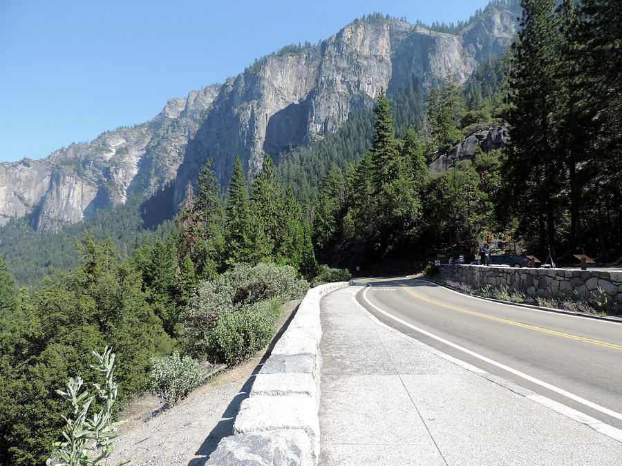 Wawona Road Photograph by Eric Forster